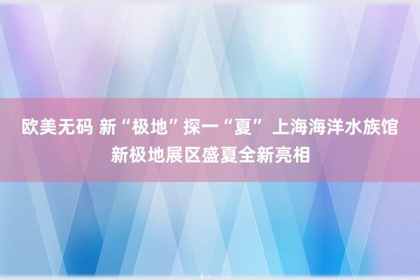 欧美无码 新“极地”探一“夏” 上海海洋水族馆新极地展区盛夏全新亮相
