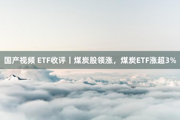 国产视频 ETF收评丨煤炭股领涨，煤炭ETF涨超3%