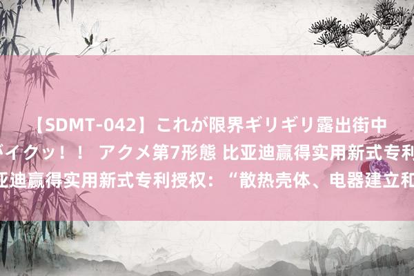 【SDMT-042】これが限界ギリギリ露出街中潮吹き アクメ自転車がイクッ！！ アクメ第7形態 比亚迪赢得实用新式专利授权：“散热壳体、电器建立和车辆”