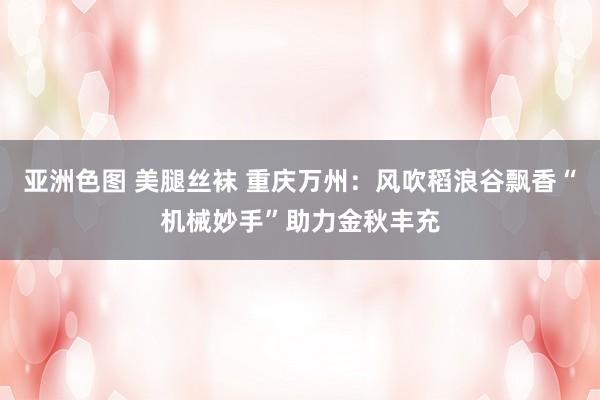 亚洲色图 美腿丝袜 重庆万州:风吹稻浪谷飘香“机械妙手”助力金秋丰充