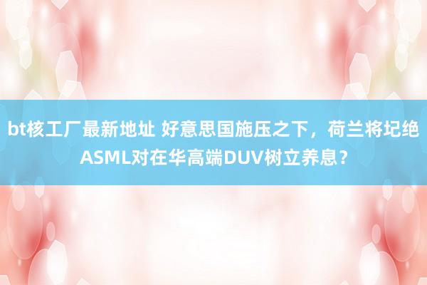 bt核工厂最新地址 好意思国施压之下，荷兰将圮绝ASML对在华高端DUV树立养息？