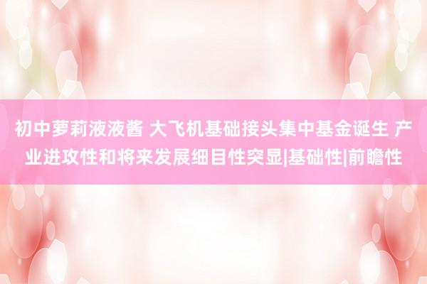 初中萝莉液液酱 大飞机基础接头集中基金诞生 产业进攻性和将来发展细目性突显|基础性|前瞻性
