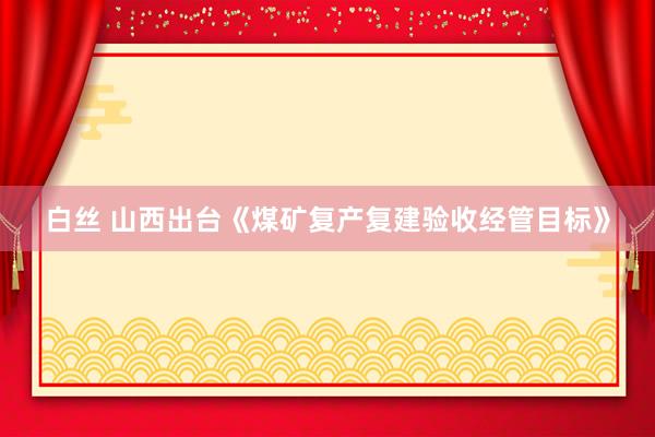 白丝 山西出台《煤矿复产复建验收经管目标》