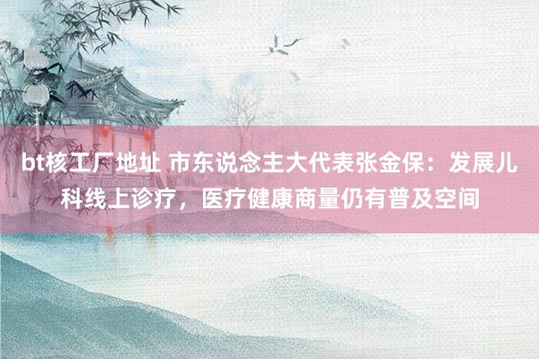 bt核工厂地址 市东说念主大代表张金保：发展儿科线上诊疗，医疗健康商量仍有普及空间