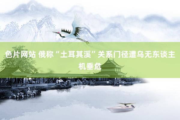 色片网站 俄称“土耳其溪”关系门径遭乌无东谈主机垂危