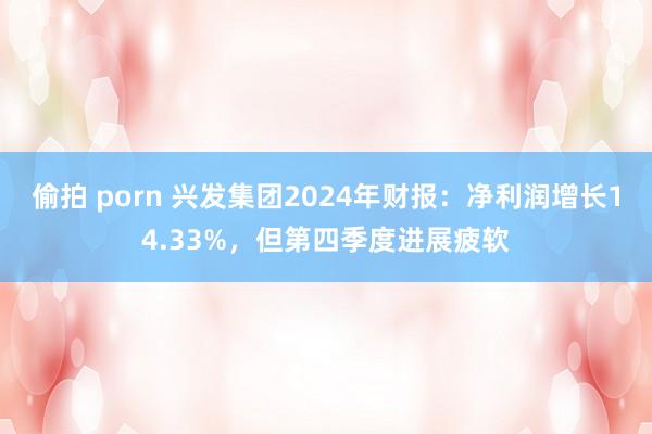 偷拍 porn 兴发集团2024年财报：净利润增长14.33%，但第四季度进展疲软