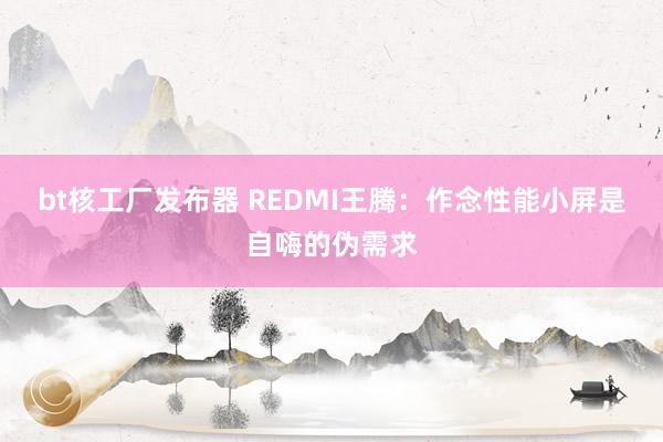 bt核工厂发布器 REDMI王腾：作念性能小屏是自嗨的伪需求