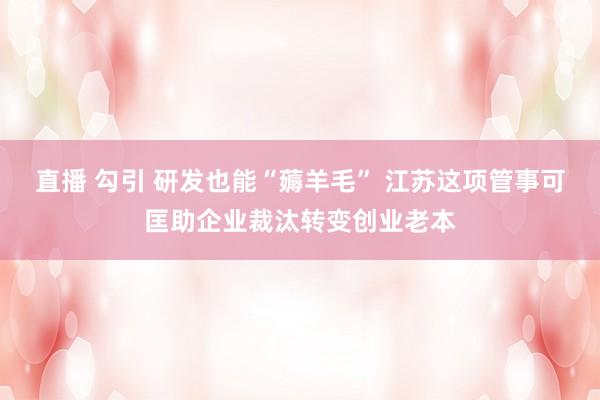 直播 勾引 研发也能“薅羊毛” 江苏这项管事可匡助企业裁汰转变创业老本