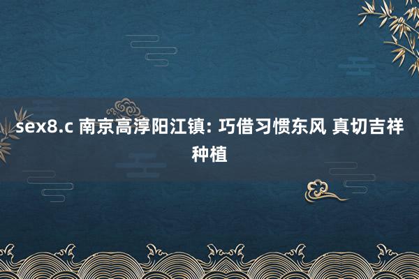 sex8.c 南京高淳阳江镇: 巧借习惯东风 真切吉祥种植