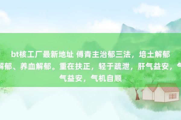 bt核工厂最新地址 傅青主治郁三法，培土解郁、益肾解郁、养血解郁。重在扶正，轻于疏泄，肝气益安，气机自顺