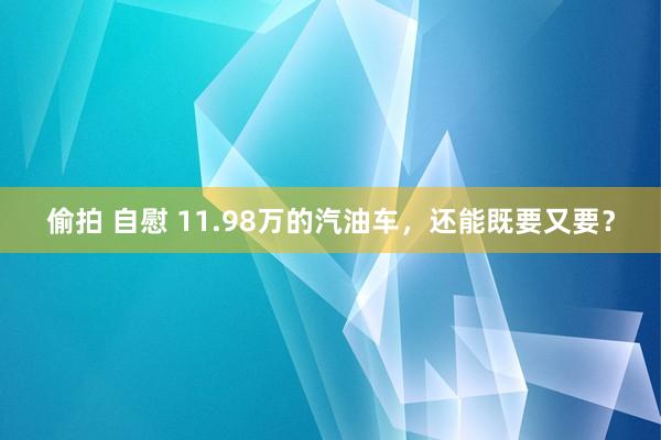 偷拍 自慰 11.98万的汽油车，还能既要又要？