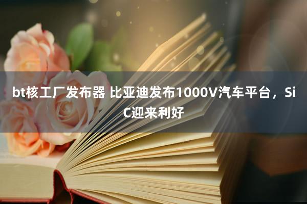 bt核工厂发布器 比亚迪发布1000V汽车平台，SiC迎来利好