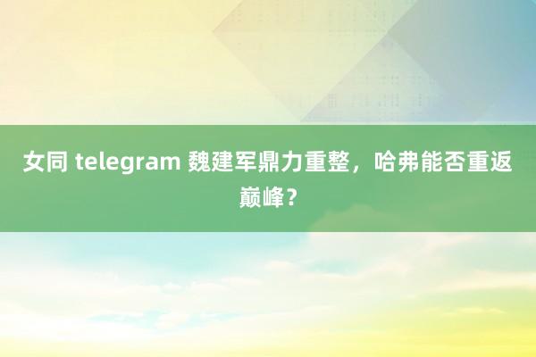 女同 telegram 魏建军鼎力重整，哈弗能否重返巅峰？